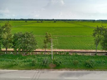 front-view3 front-view3